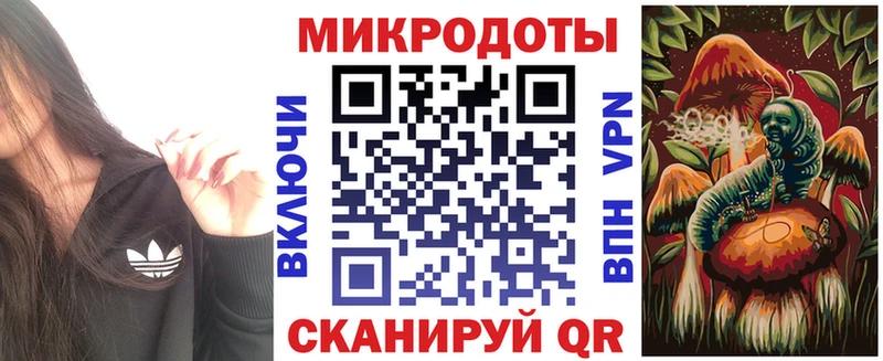Купить закладки  Судогда  Галлюциногенные грибы GOLDEN TEACHER 