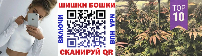 Купить закладки  Судогда  Бошки Шишки Ganja 